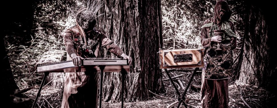 Botanist announce new album, Photosynthesis, out October 30th via The Flenser