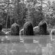 Witchrot announce new record, Soul Cellar, out on May 23rd via Majestic Mountain Records
