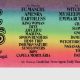 Road to SonicBlast 2025: Nine bands you cannot miss during the festival